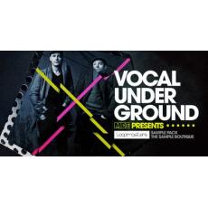 【人声采样】Loopmasters - MDE Vocal Underground