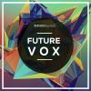 【Future风格人声素材】Skifonix Sounds - Future Vox WAV MIDI SERUM