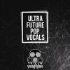 【Future Pop风格人声素材】Vandalism Ultra Future Pop Vocals WAV MiDi-DISCOVER