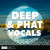 【Deep风格人声采样】Big EDM Deep and Phat Vocals WAV MIDI FXB-SYNTHiC4TE