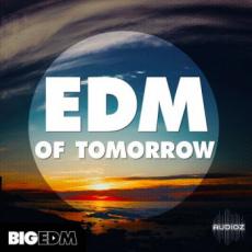 【EDM风格采样+预制音色】Big EDM EDM Of Tomorrow WAV MIDI FXB SBF-SYNTHiC4TE