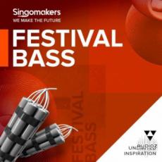 【Bass House风格采样音色】Singomakers Festival Bass MULTiFORMAT