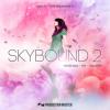 【Future Bass风格采样+预设音色】Production Master Skybound 2 WAV XFER RECORDS SERUM-DISCOVER