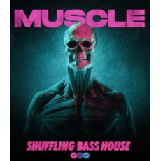 【Bass House风格采样音色】Soundsmiths Muscle Shuffling Bass House WAV