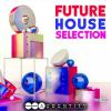 【Future House风格采样音色】Audentity Records Future House Selection MULTiFORMAT-DECiBEL