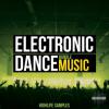 【EDM风格采样+预设音色】HighLife Samples Electronic Dance Music Bundle WAV MiDi LENNAR DiGiTAL SYLENTH1 REVEAL SOUND SPiRE and Cub
