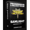 【Progressive House风格采样+预设音色】xxound Progressive & Melodic House by SAMLIGHT Wav Serum Sylenth 1 Midi