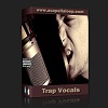 人声素材/Trap Vocals & Loops